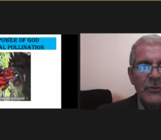 Dr Razaee Lumiminds Conventions