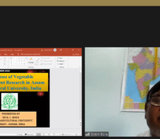 Gobin bora_ Lumiminds Conventions