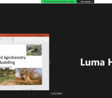 Luma Hamdi ICGWC 2022 Lumiminds