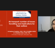 Lumiminds ASVM 19 (1)