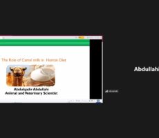 Lumiminds ASVM 19 (2)