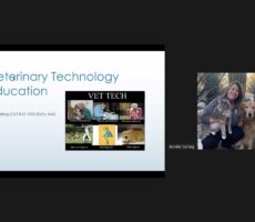 Lumiminds ASVM 19 (4)