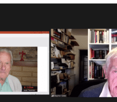 Stephen Salter - Lumiminds